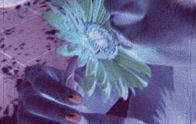 Blumenkussfinger